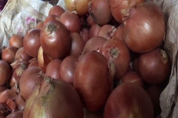Что за площадка кракен