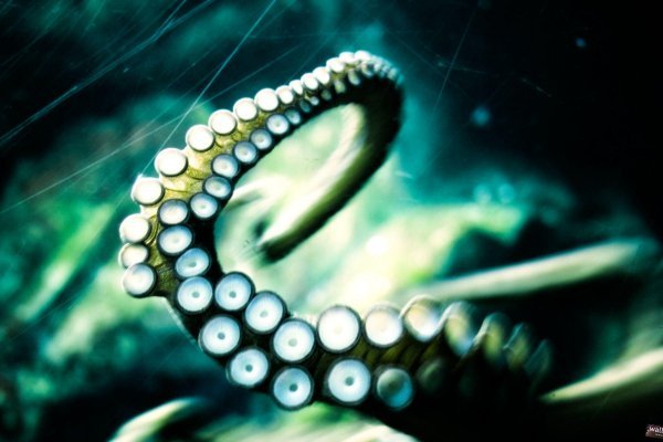 Kraken com супернет