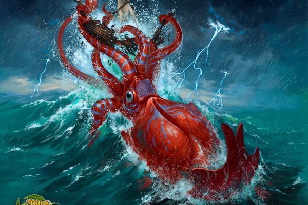Kraken whitenet store