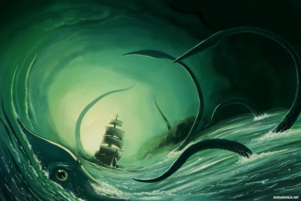 Kraken whitenet ссылка