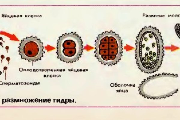 Кракен зеркало