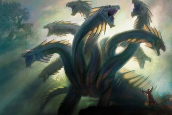 Kraken whitenet kraken whitenet 2n com