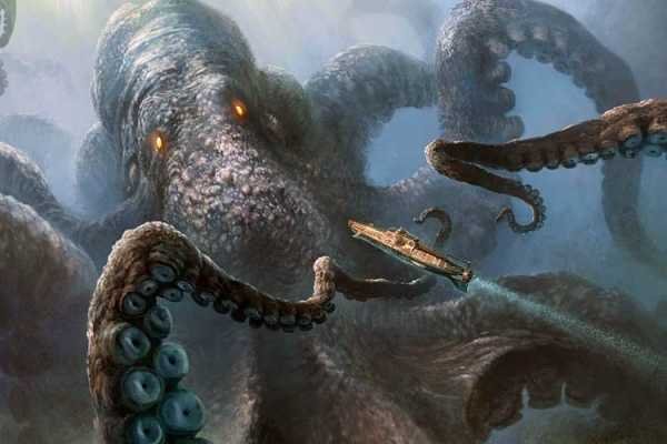 Kraken whitenet sliv php