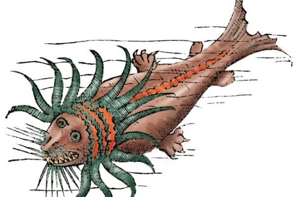 Kraken 5 at
