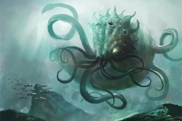 Kraken whitenet store