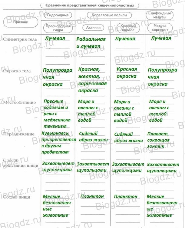 Кракен сайт как выглядит